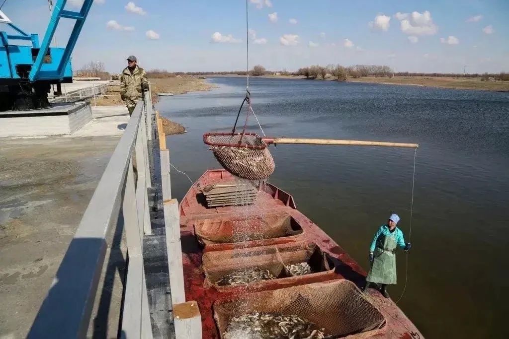 Игорь Бабушкин поздравил астраханских аграриев Игорь Бабушкин поздравил астраханских аграриев
