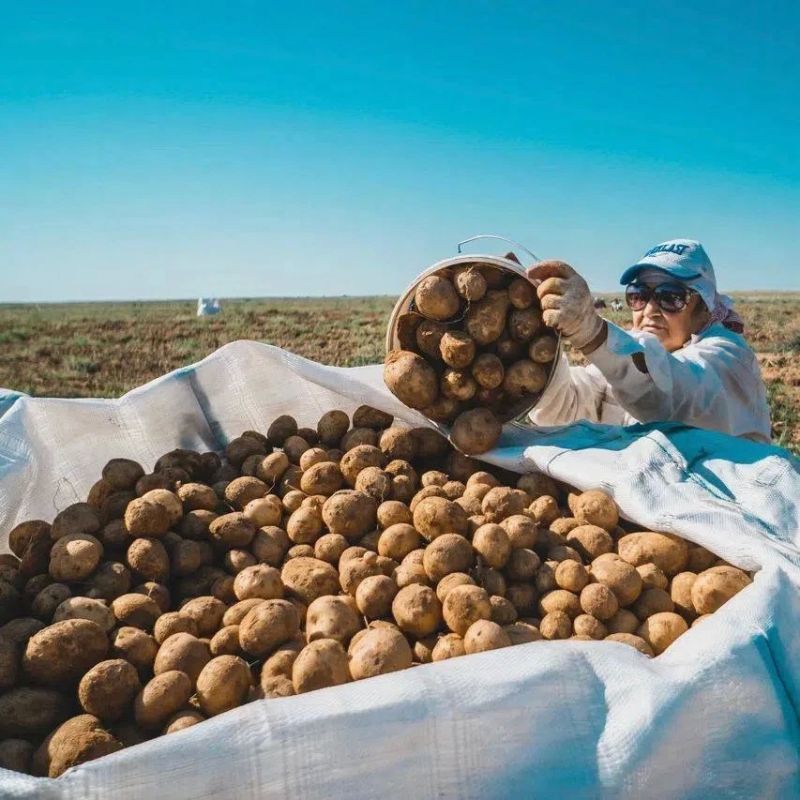 Игорь Бабушкин: Астраханские томаты, перцы, лук, картофель и знаменитые арбузы — это не просто качественные продукты, а настоящий бренд нашего региона, который знают и любят во всей России Игорь Бабушкин: Астраханские томаты, перцы, лук, картофель и знаменитые арбузы — это не просто качественные продукты, а настоящий бренд нашего региона, который знают и любят во всей России