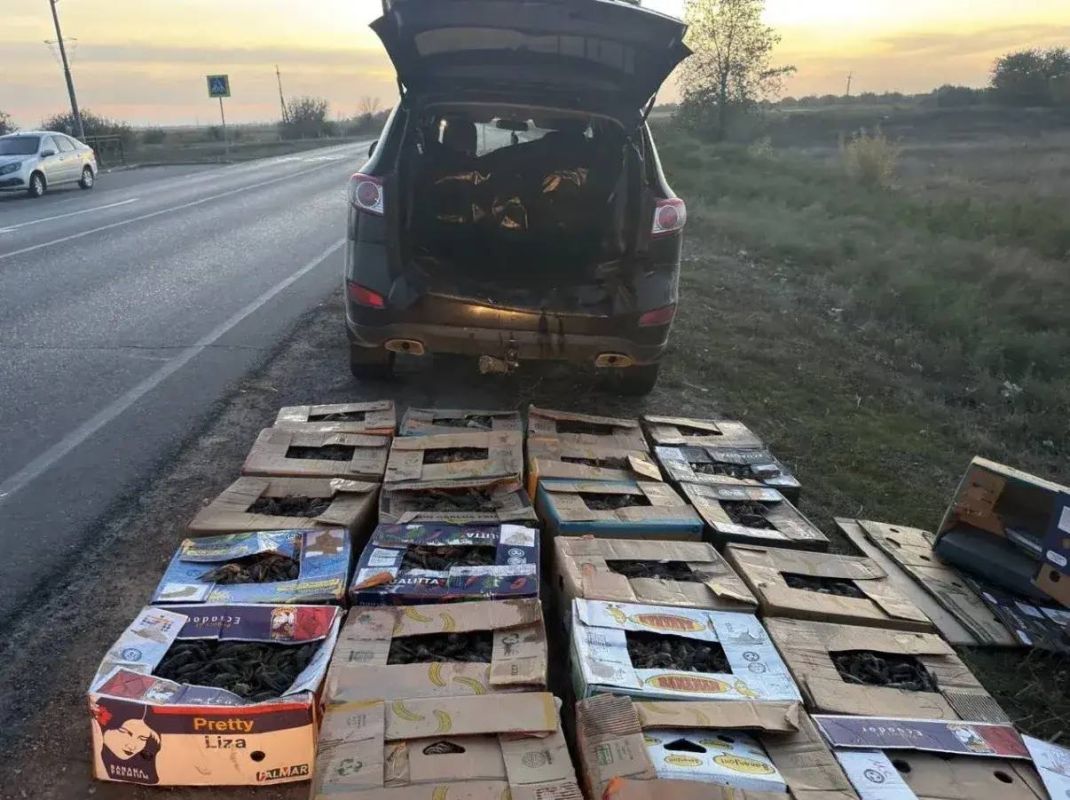 В Астрахани полицейские провели профилактическое мероприятие с водителями пассажирского транспорта В Астрахани полицейские провели профилактическое мероприятие с водителями пассажирского транспорта