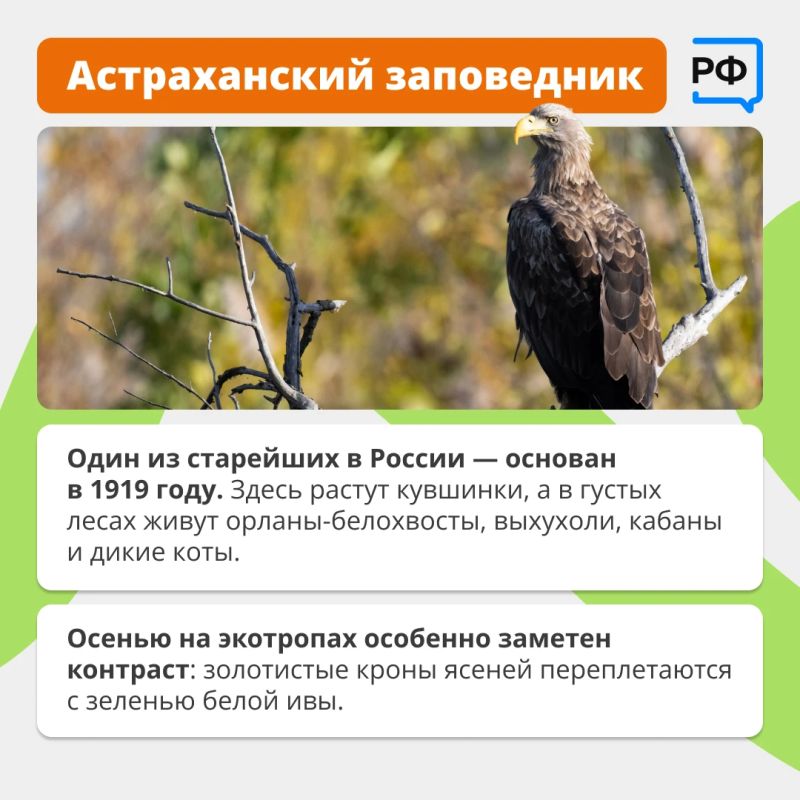 Озеро, в котором нельзя утонуть, «бродячий» бархан и крупнейшая в Европе речная дельта — увидеть всё это можно за одно путешествие Озеро, в котором нельзя утонуть, «бродячий» бархан и крупнейшая в Европе речная дельта — увидеть всё это можно за одно путешествие