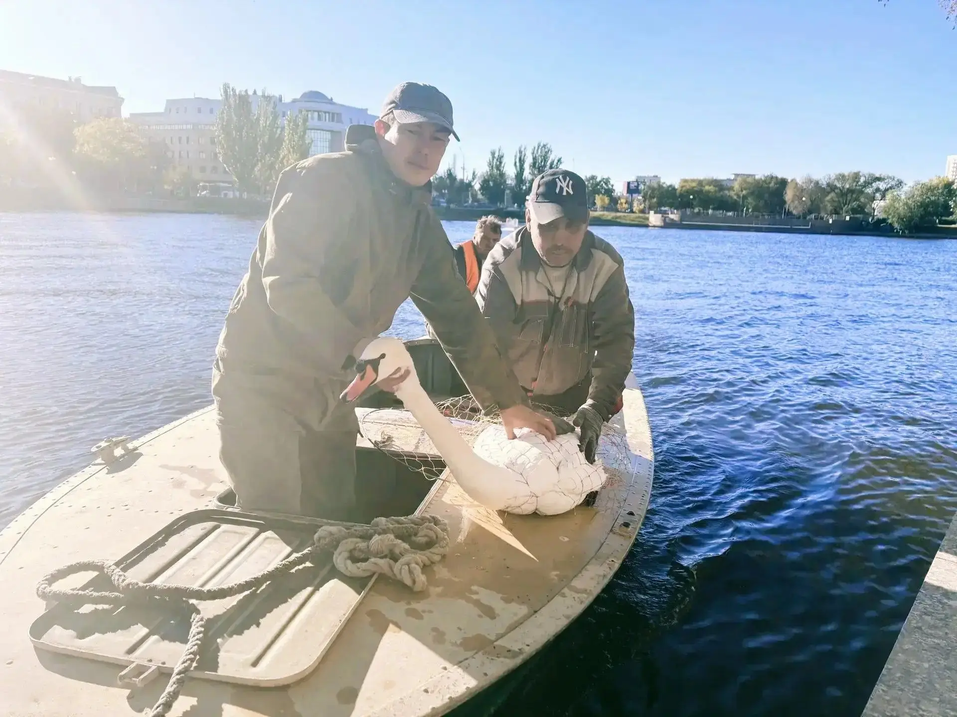 Птиц с Лебединого озера перевезли на зимовку