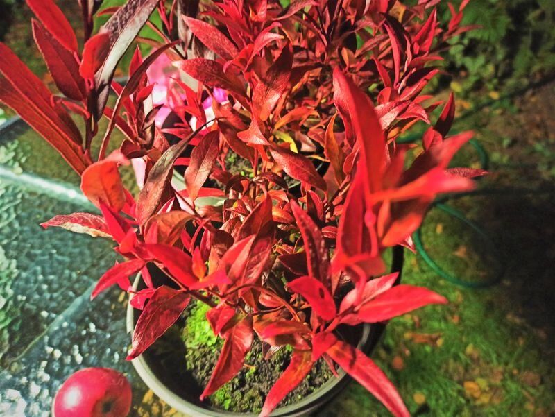 ��������������� ������� � �����������: ��� �������� ������ � ��������?