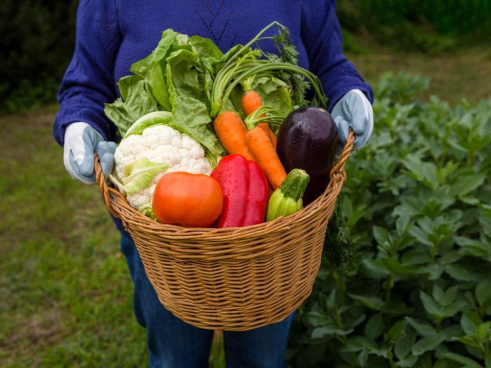 Сажая базилик и перцы: как создать дешевый огород и сэкономить на продуктах