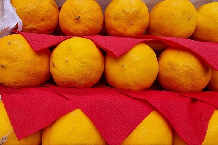 Ушлые хозяйки хранят лимон в холодильнике только так: не сохнет и не вянет