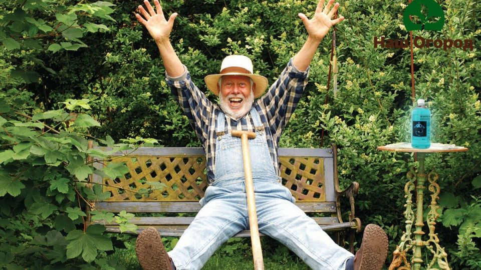 ��������� � ��������� �������: ���������� ������� ���� �� ������������ ����