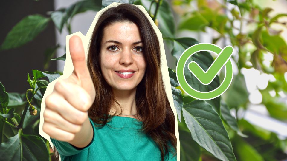 ����� �������� �� ������� �������: ��� ��� ����� ������� ������