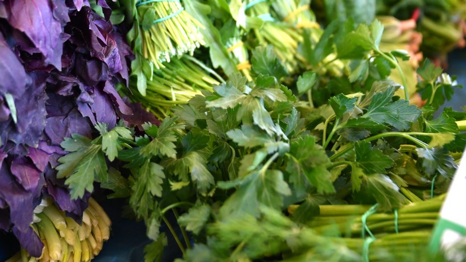 ������������� ������: ���-����� ��������� ������