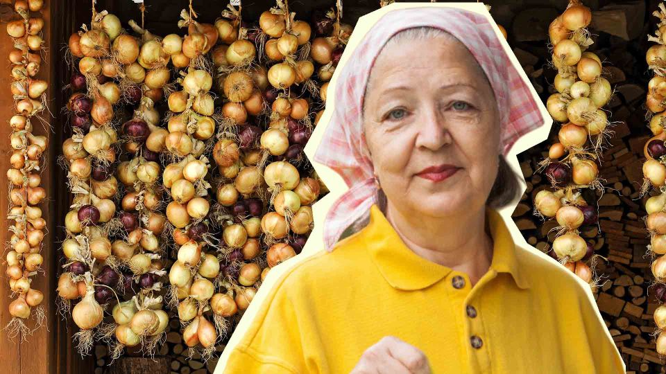 ��� �� ������ � �� ����������: ������� 2 ������� ��������� ������ �� �����