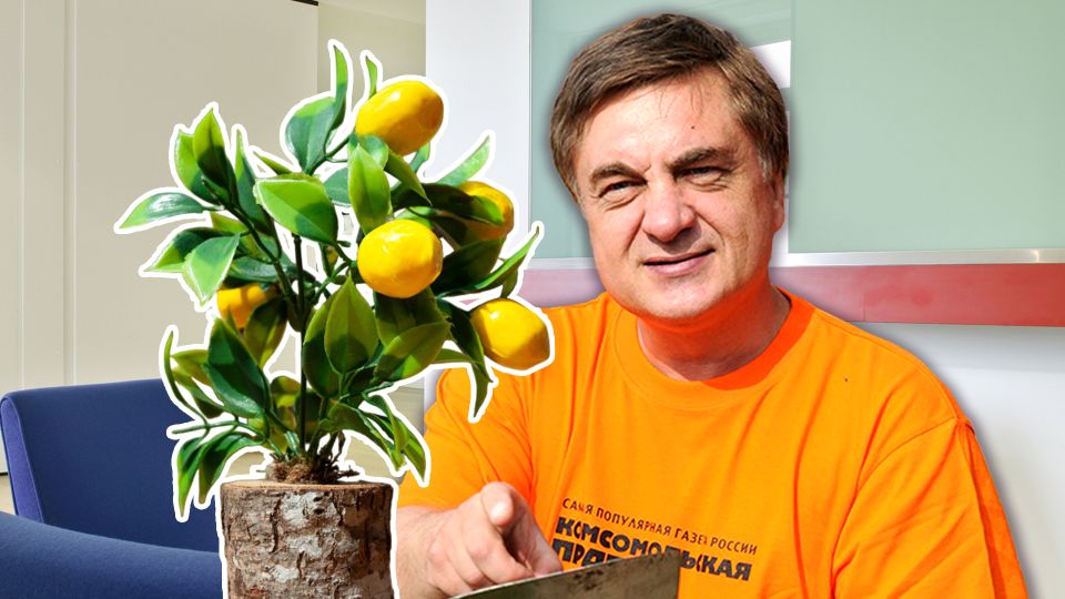 ��� �� �������� �������� �������� ������ � �����: ������ ��� �������� ������ �� ������ ��������