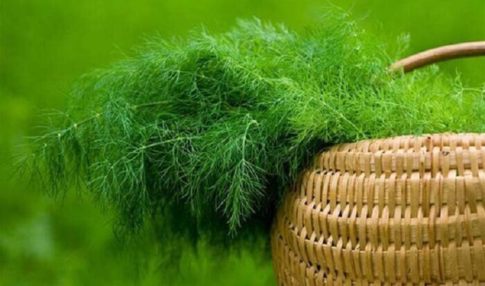 ������� ��������� ����������� ������: �� ����� �� ���������� ������