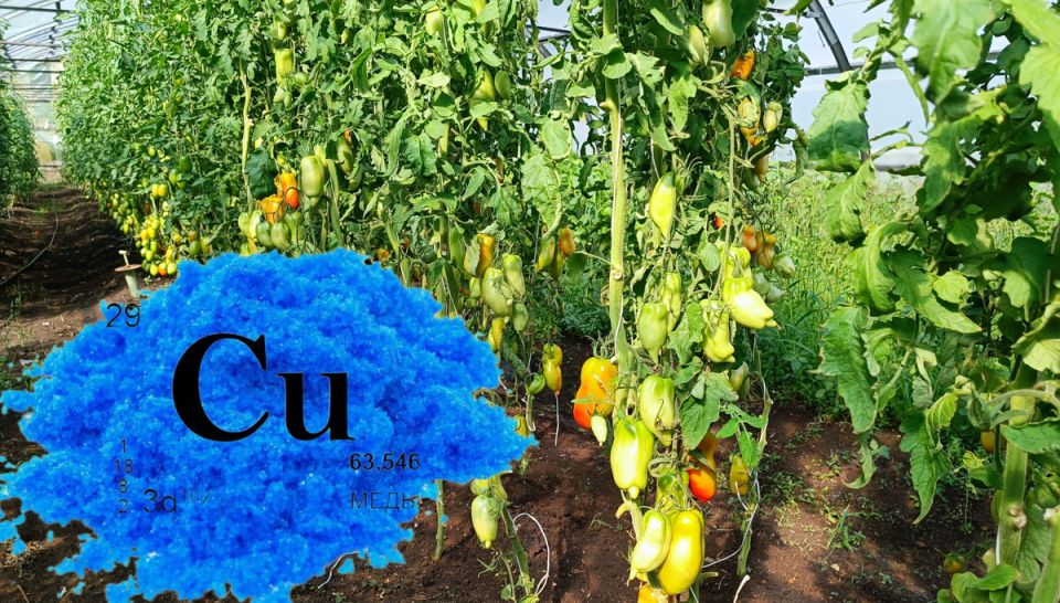 ����� � ��� ��������� �������������� ��������� � ����: ������� ��������� ����������