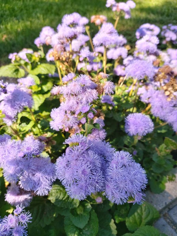 ��������� ��� � ������: ������� ��������� �����������