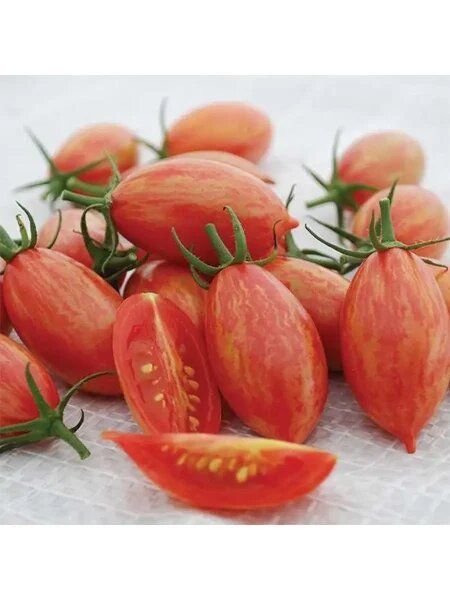 ���� ������: �������� ����� ��� ������ �������