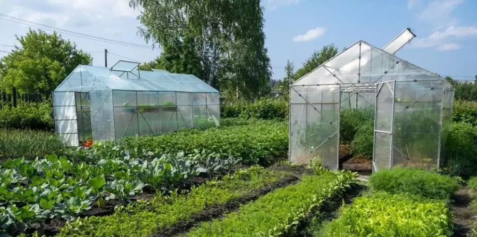 ���� ������: ������������ � ���������� ��������� �����������