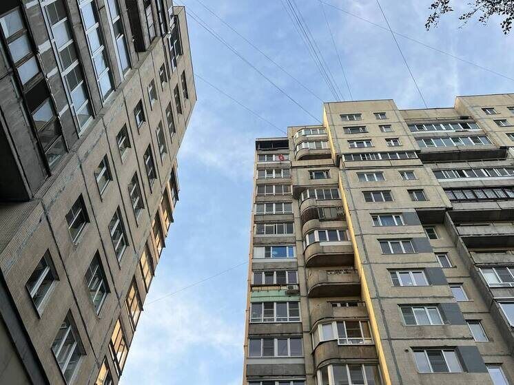 �����-��������� ��������� ����� ��������� ������������ �������� ����������