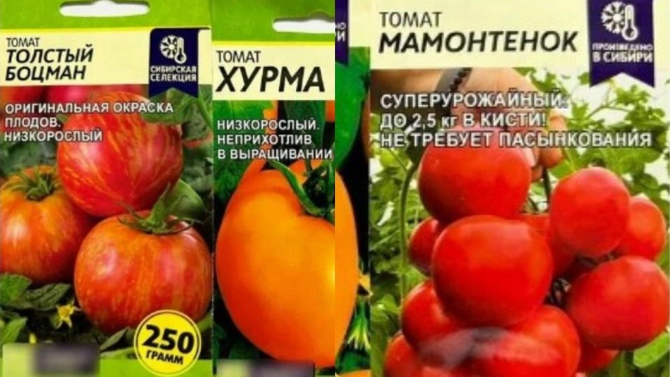 ��� ������� ����������� ����� �������������� ������� �� ��� ���� ������