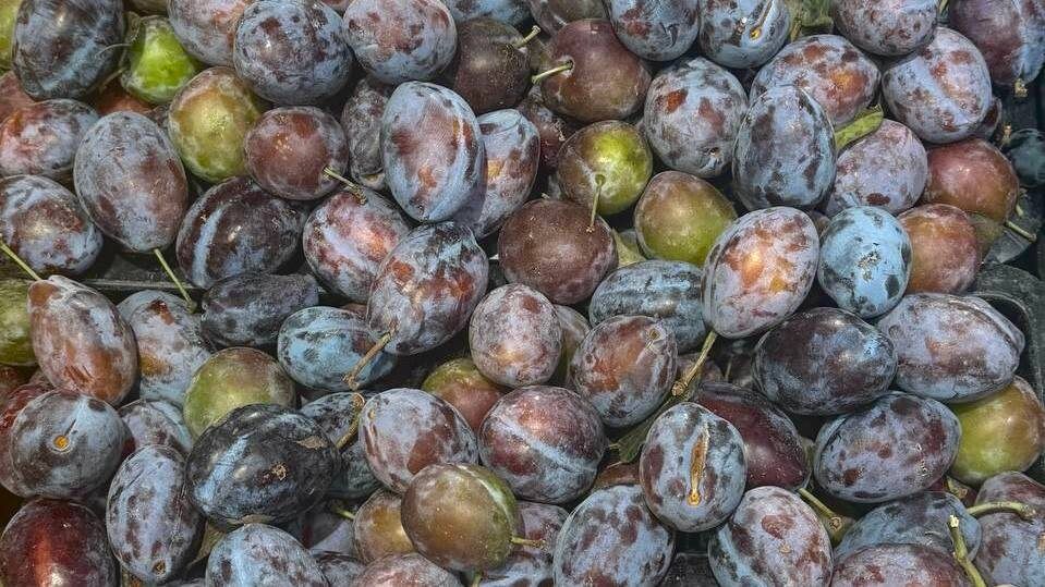 ������� �����: ��� �������� ���������� ����������� �� �� ������������