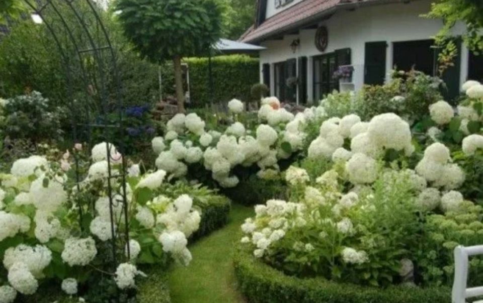 ������ ����� ��������-���������� � ����������� ����� � �������