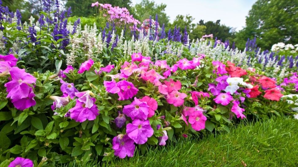 9 ������������� ��������� �������� ��� ���������� ���� � ������ �������