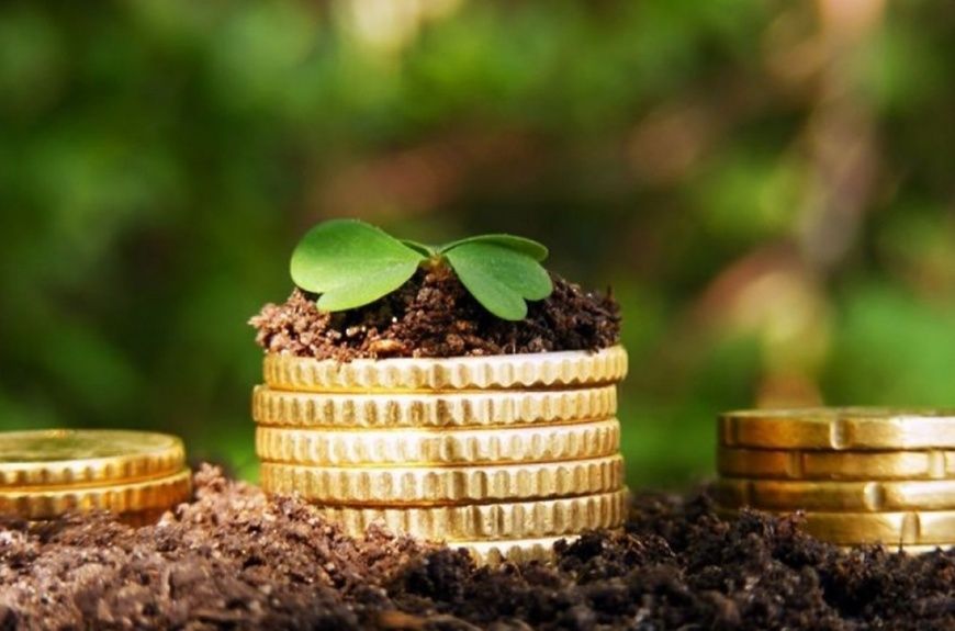 ��������� ����� ��� ����������: ��� ��������� ����� � ������� ������� �� ����