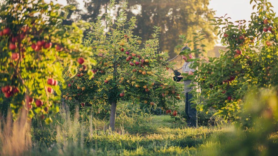 ������ ������� ������ � ����: ��������� ������ �� ������������ ���� � �������� ����