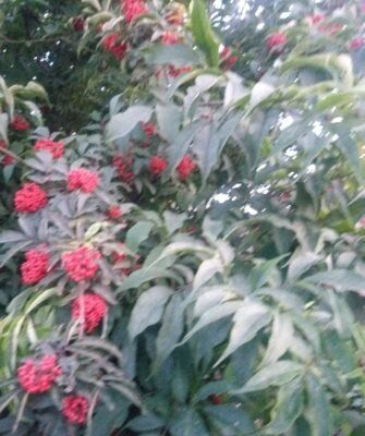 ������� ������: ������� ������������ ���� ��� �������� �������� ��������?