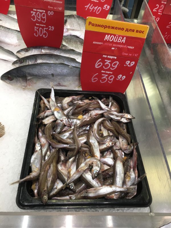 ������� �� ����: ��� ������� ����� �� ����� �������� ������