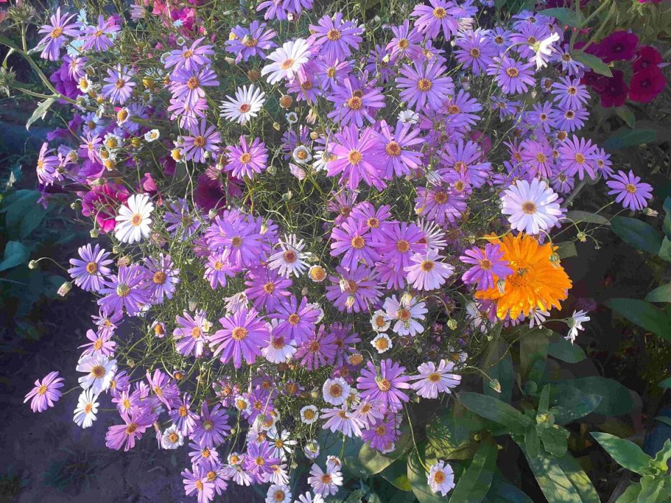 ���������: �������� ������ ������� ����