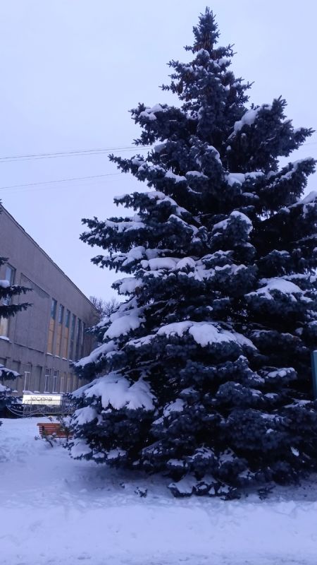 �������� � ���������: ���������, ������� ������� ������