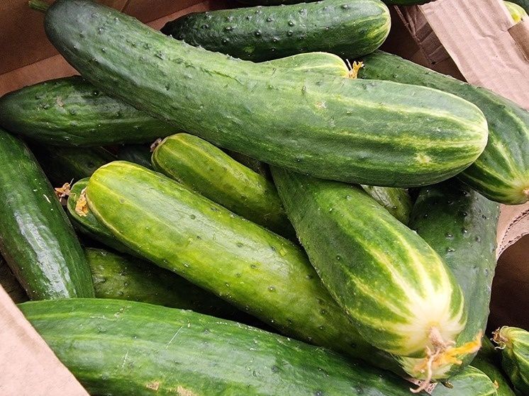 ������ � �������� ��������� ����� � ��������� ��� ��������