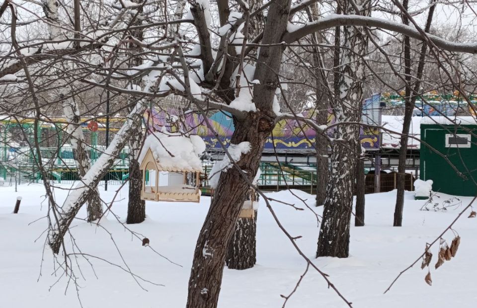 ����� ������� ���� ������ � ������� 2026 ����