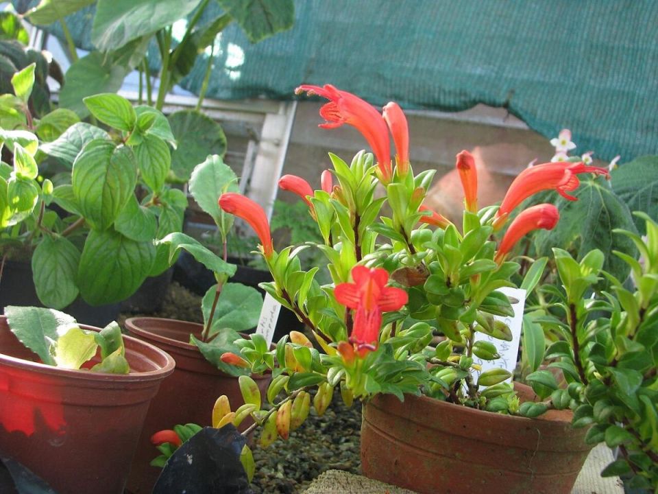 ����������: ������� ��������� �������� � �����