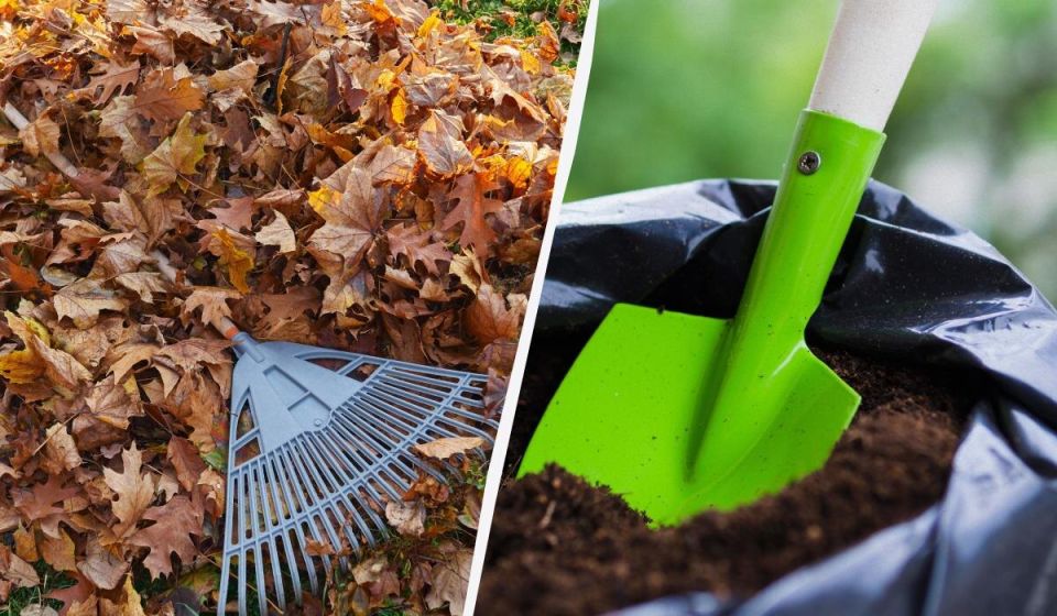 ��� ������� ������� ���������� ������� ������ � �������� ��������� ����� �� ��� ������