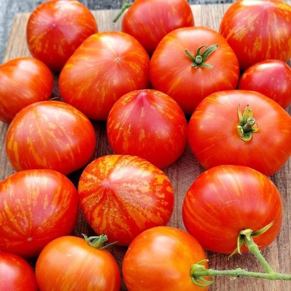 ����� ���� ��������: ���������� ���� � ��������� ������ � ������ �������