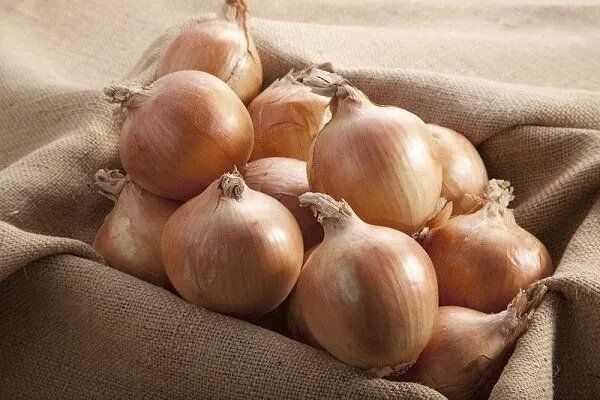 ��� ����� ��� ������ � ��� ��� ��������� ����������?