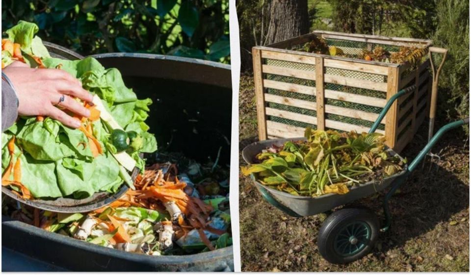 ��� ������ ��������� � �������: �������������� ��� �����������