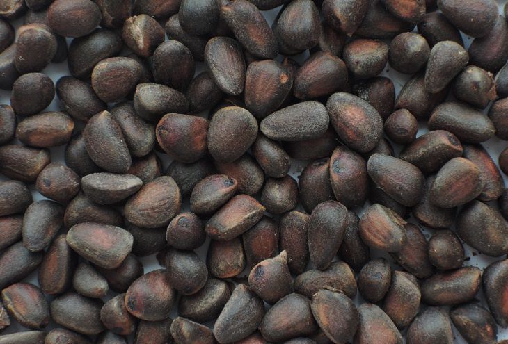 ��� ���� �������� ����� ������: �� ���������� ����� ������