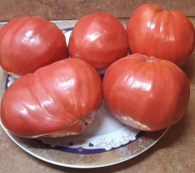 ����� ���������������: ��������� ���������� �������������� ����� ��� ��������� �������