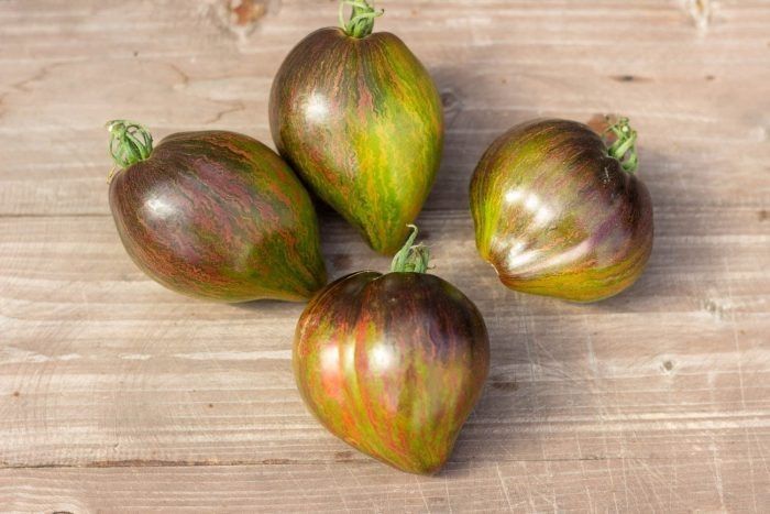 ����� ����������� �������� ������: ������� ������� ��� ������� �������