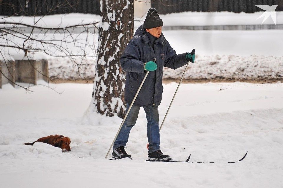 ������ ��� ����������� � ��������: ��� ���������� ��������