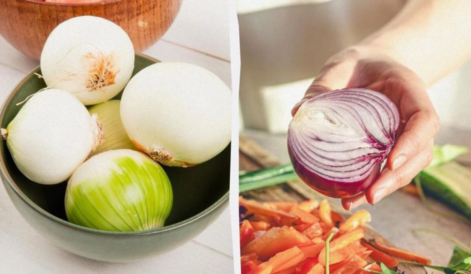 ���������� ������: ��� ������ � ������ ����������� ��������� ���