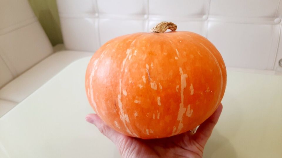 ���� � ������: ������ � ������ ������