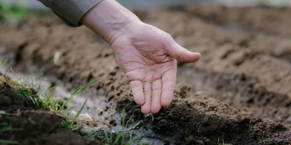 ������� � ����� �������: ����� �������� ���� ������ ��� ������� ������?