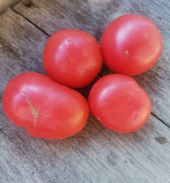 ����� �����: ������� ��������� �������� ������ �� ����� �������