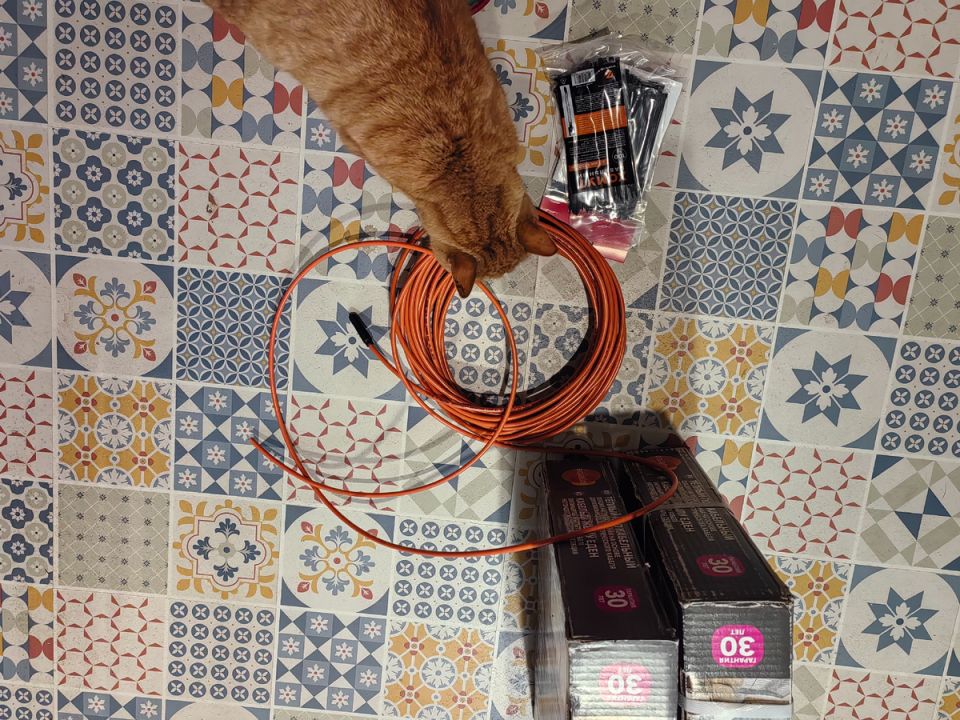 ��� ������ � ����� ���� ���������� ��������� �� 7 ����� ������