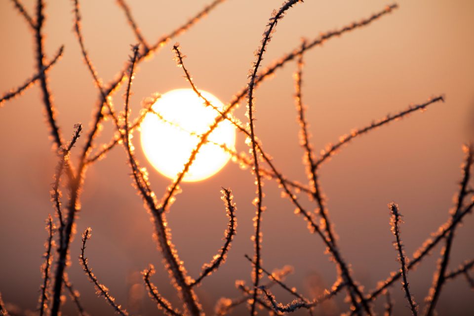 �������� ���������� ������� �������������� �����, ���������� ����� ���������� ��������� �����������