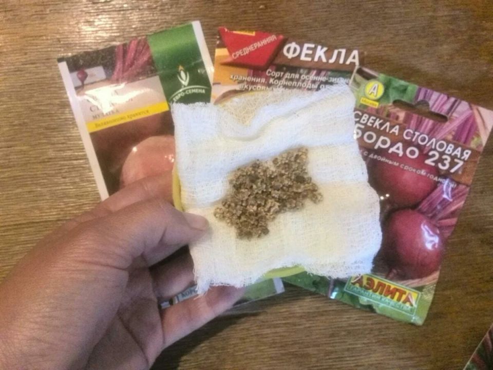 ��� ��������� ����� ������ ��� ����: �������� ������