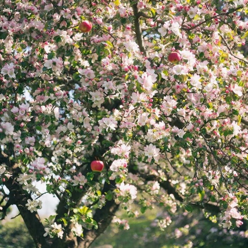 ��� ������������ ������������ ������ ������