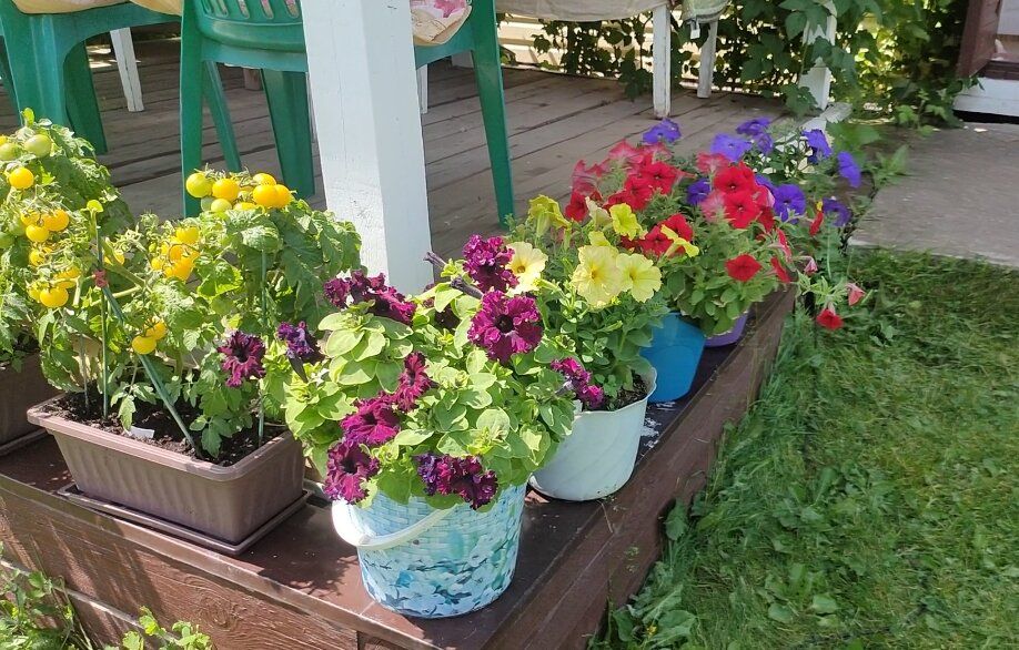 ��������� ����: ���������� ������ �������