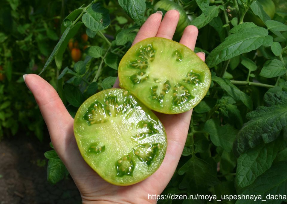 ����� ������� �����: ��������� ����, �� �������� �������� ������